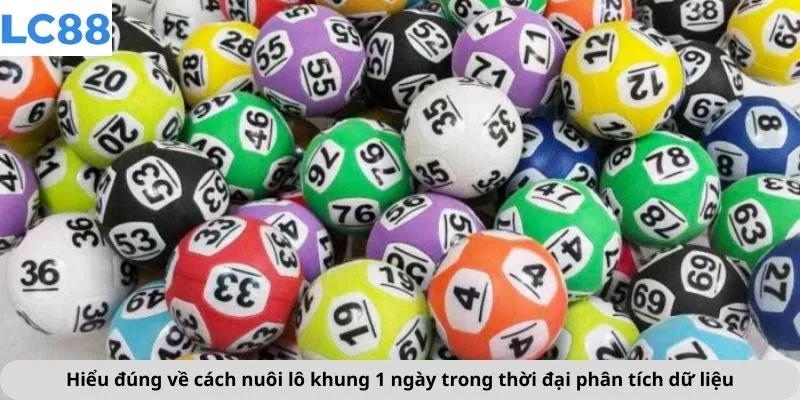 Cách Nuôi Lô Khung 1 Ngày 2 Hiểu đúng về cách nuôi lô khung 1 ngày trong thời đại phân tích dữ liệu