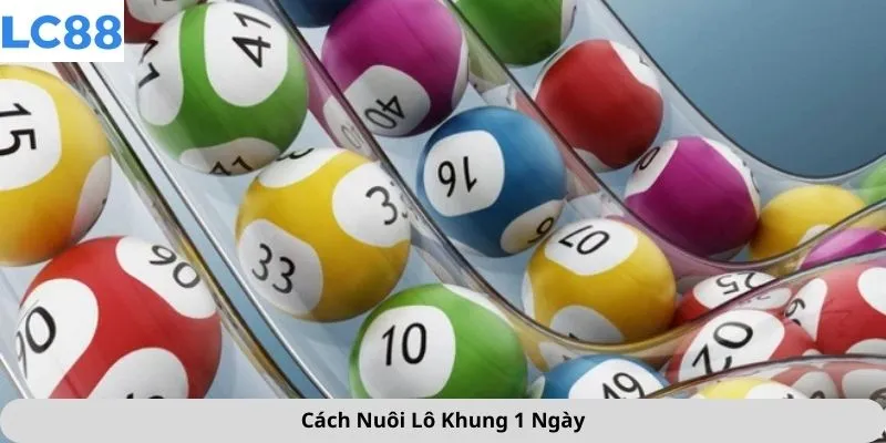cách nuôi lô khung 1 ngày