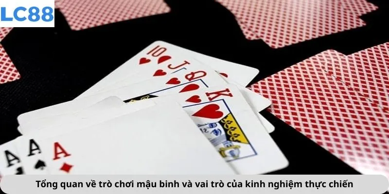 Tổng quan về trò chơi mậu binh và vai trò của kinh nghiệm thực chiến